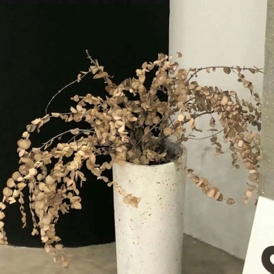 绥中福瑞交流群